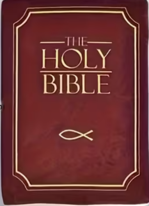 Biblia Grande de Peluche